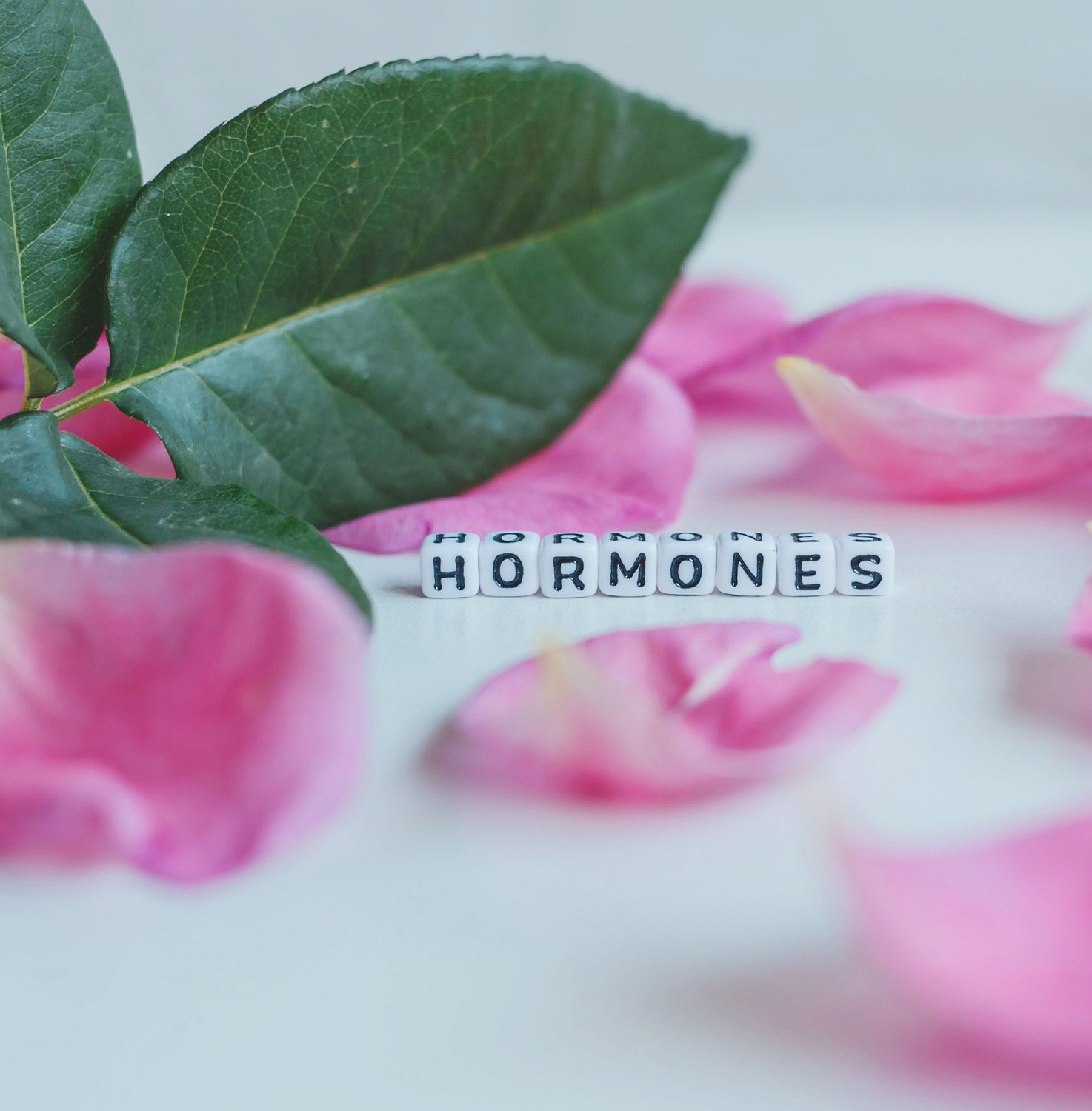Hormones Nutritional Help